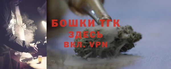 тгк Богданович