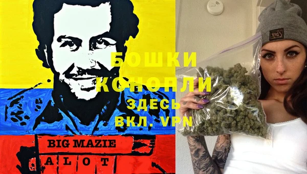 тгк Богданович