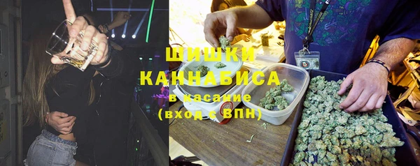 тгк Богданович