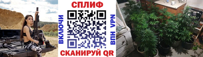 Бошки Шишки THC 21% Верхнеуральск